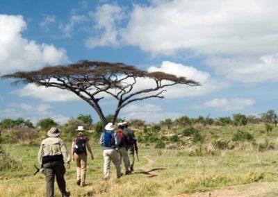Safari à pied dans le Parc National d’Arusha