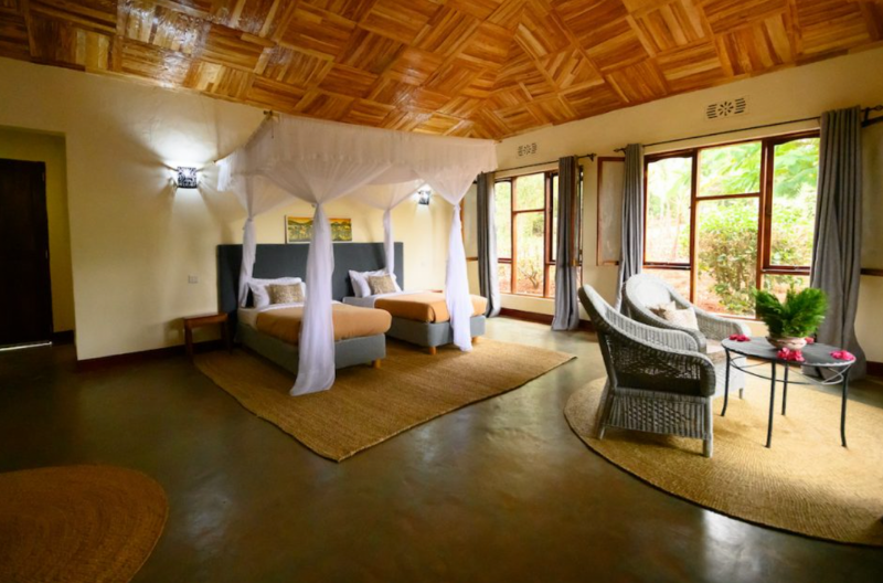 pamoja africa safari lodge