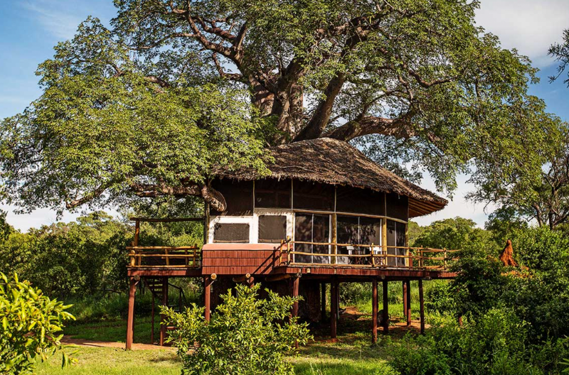 Tarangire-Treetops-Elewana-hotel-tanzania-01