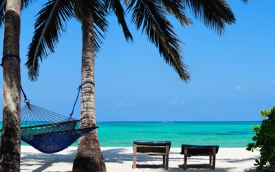 What to do in Zanzibar?