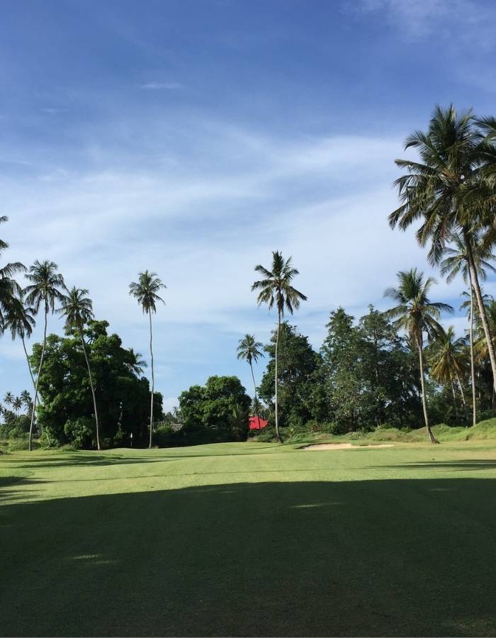 Safari sur mesure en Tanzanie