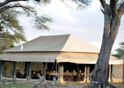 Tanzania Bush Camp Ndutu