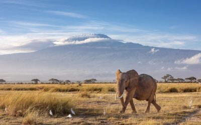 Quelle est la meilleure saison pour un voyage en Tanzanie ?