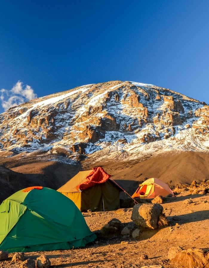 Voir des guépards en Tanzanie